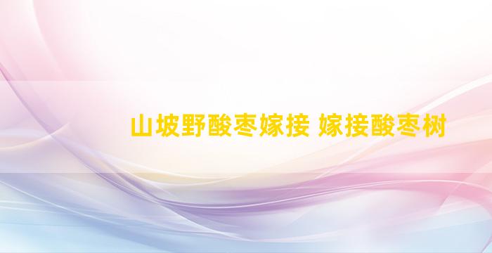 山坡野酸枣嫁接 嫁接酸枣树